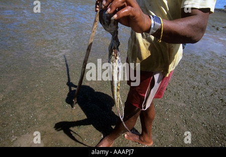 Octopus fishing, Three local boys posing, Rodrigues Island