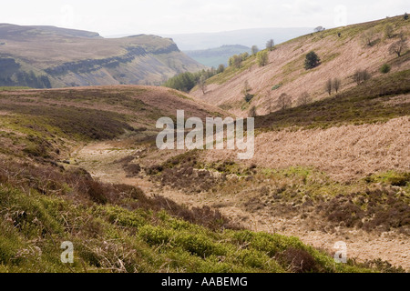 UK Wales Clwyd Esclusham Mountain Cyrn y Brain valley through hilltop heathland Stock Photo