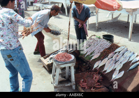 Essaouira fish market Essaouira Morocco 1991 Stock Photo