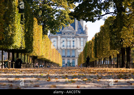 A tree lined avenue in the Tuileries garden in front of the Louve Museum Paris France Stock Photo