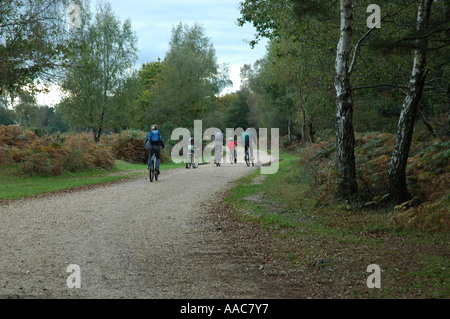 Family cycling through woods Stock Photo