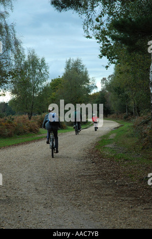 Family cycling through the woods Stock Photo