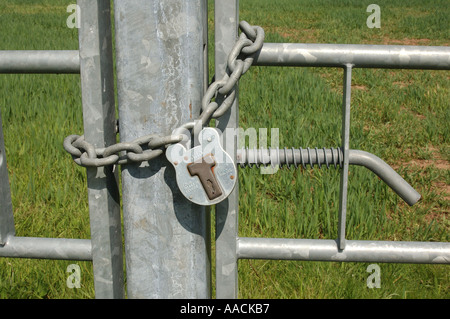 Padlock on metal field gate Stock Photo