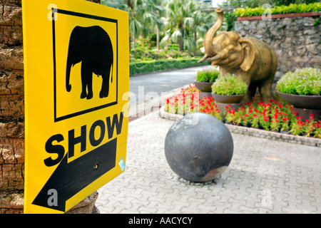 Elephant show Nong Nooch Pattaya Thailand Stock Photo