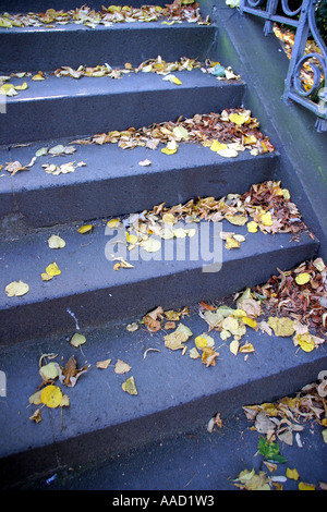 steps with autumn leaves Stock Photo