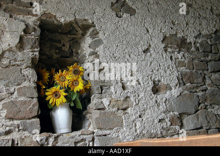 vase of flowers in a niche /alcove in the wall Stock Photo