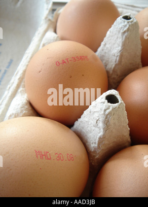 marked / labelled eggs Stock Photo