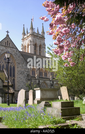 St George's Church and blossom. Beckenham, Kent, England Stock Photo