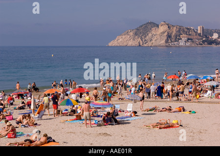 Poniente beach Benidorm Costa Blanca Spain Stock Photo