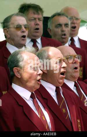 Burry Port Male Voice Choir sing at the National Eisteddfod of Wales Llanelli Carmarthenshire, West Wales UK Stock Photo