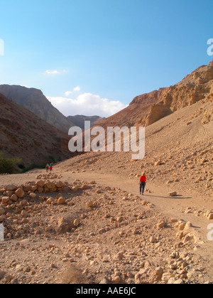 Strolling in desert Stock Photo