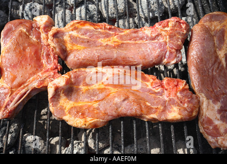 Close shot of hot fresh meat on grill Stock Photo