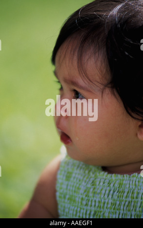 8 month old Filipino-Caucasian baby girl Stock Photo