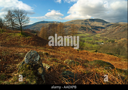 Wetherlam from Tarn Hows Intake Lake District Stock Photo