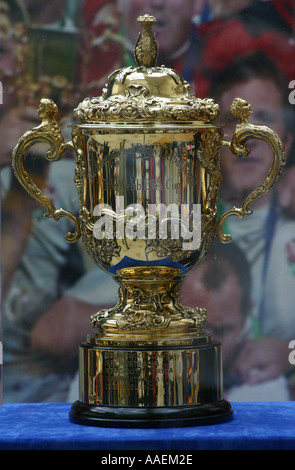 0145 Rugby World cup Stock Photo