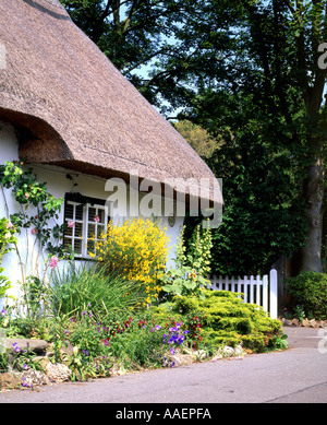 thatched round white cottage with picket fence around it Stock Photo ...