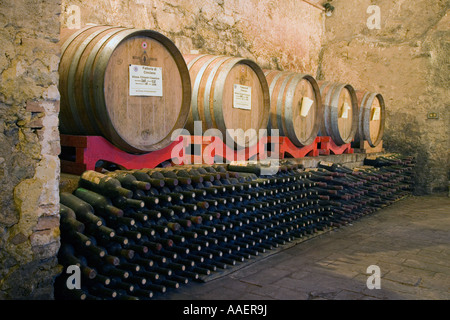 French oak Barrique or casks used to mature Chainti. Wine Barrels in Tuscany Italy. Italian oak, cellar, winery, cask, vineyard, barrel containers. Stock Photo