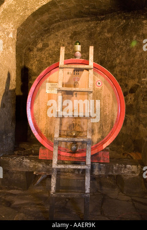 French oak Barrique or casks used to mature Chainti. Wine Barrels in Tuscany Italy. Italian oak, cellar, winery, cask, vineyard, barrel containers. Stock Photo