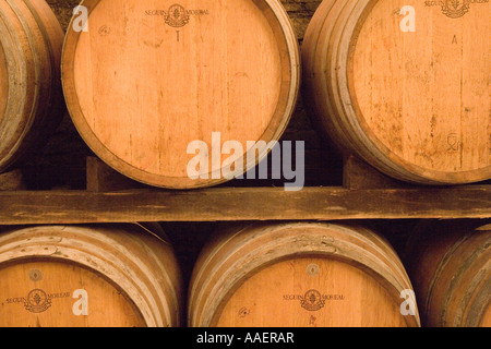 French oak barriques or casks used to mature Chainti. Wine Barrels in Tuscany Italy. Italian oak, cellar, winery, cask, vineyard, containers. Stock Photo