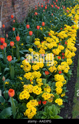 Flower border in an English Elizabethan walled garden Stock Photo - Alamy