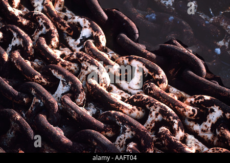3299 rusty chains Hyde Street Pier National Maritime Museaum San Francisco California USA Stock Photo