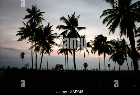 Images from the aftermath of the boxing day tsunami in Sri Lanka on the Indian Ocean, 2004. Stock Photo