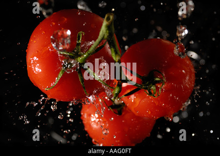 Fresh juicy tomatoes splashing in water Stock Photo