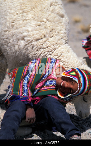 Quechua boy in distinctive tribal costume with alpaca Near Chivay Colca Canyon Southern Peru South America Stock Photo