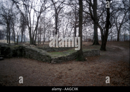 Ruins of 13th century Dominican convent on Margaret Island, Budapest, Hungary Stock Photo