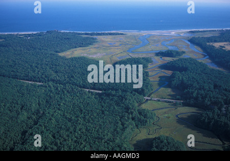 Kennebunk ME Undeveloped forest near Rachel Carson N W R Little River and Rt 9 Harts Woods Parcel Crescent Surf Beach an Stock Photo