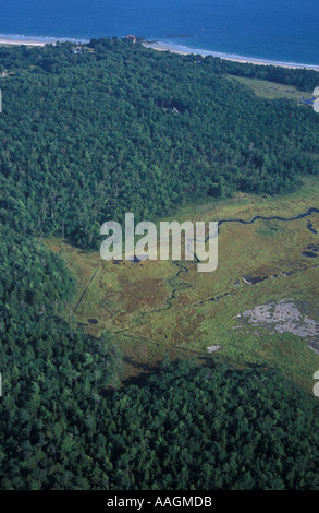 Kennebunk ME Undeveloped forest near Rachel Carson N W R Harts Woods Parcel Crescent Surf Beach and Parson s Beach in back Stock Photo