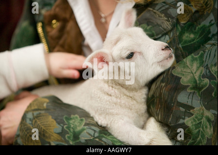 a farmers wife with an orphaned lamb Stock Photo