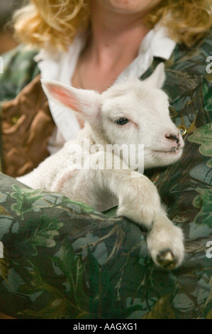 a farmers wife with an orphaned lamb Stock Photo