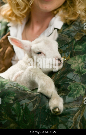 a farmers wife with an orphaned lamb Stock Photo