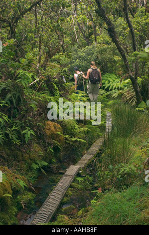 Hikers on boardwalk through rainforest at Kamakou Preserve Molokai Hawaii a Nature Conservancy preserve Stock Photo