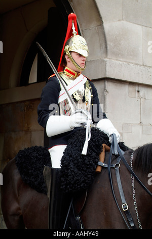 A Member of the Blues and Royals Household Cavalry regiment on guard ...