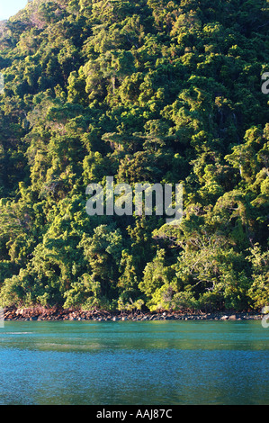 rainforest meets reef in far north queensland Australia dsc 0418 Stock Photo