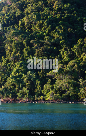 rainforest meets reef in far north queensland Australia dsc 0420 Stock Photo