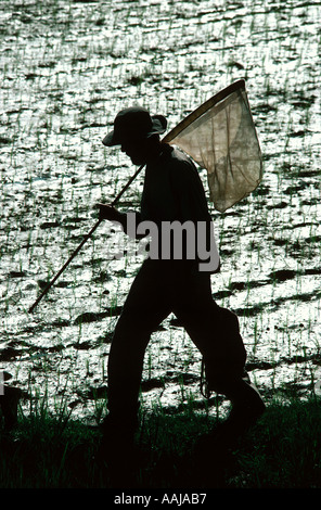 Butterfly catcher in Bali beside a padi field Stock Photo