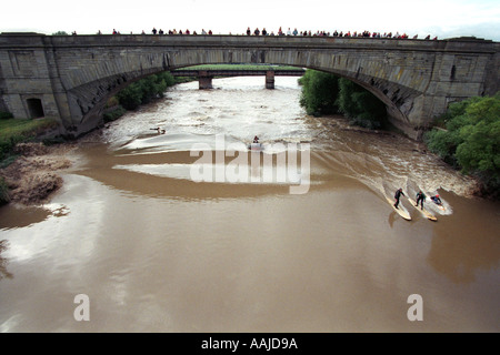 Canoeist and surfers ride the Bore on the River Severn under Thomas Telfords Maisemore Bridge Gloucester England UK GB Stock Photo