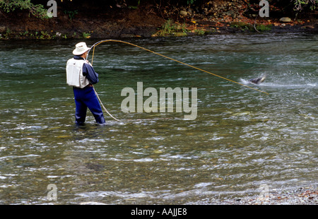 Fishing The Puntledge River, Courtenay, Vancouver Island, B.C Canada Stock  Photo - Alamy