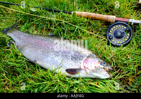 Fly fishing at Robins Lake in Robins Wood Farnham South England Stock Photo