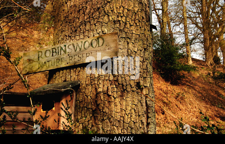 Fly fishing at Robins Lake in Robins Wood Farnham South England Stock Photo