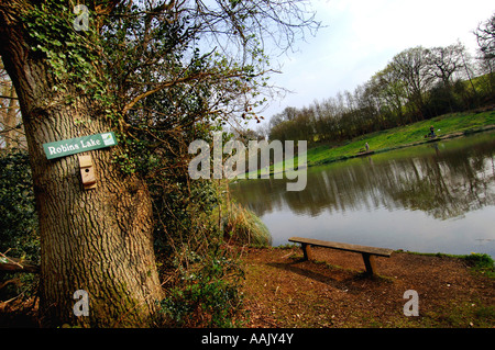 Fly fishing at Robins Lake in Robins Wood Farnham South England Stock Photo