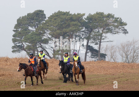 Pony trekkers on a Black Mountains riding loop from Tregoyd Mountain Riders centre South Wales UK copse of trees in background Stock Photo