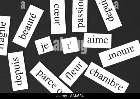 Magnetic fridge words jumbled up but with the words Je t aime in the middle Stock Photo