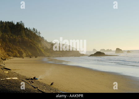 People on beach with surfboard kayak and jogging stroller Indian Beach at Ecola State Park on the northern Oregon coast Stock Photo