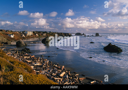 Bandon Beach from Coquille Point wayside with sea stacks driftwood and beach houses Oregon coast Stock Photo