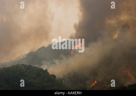 Burning forest being cleared to plant crops by villagers near Phongsaly Laos Stock Photo