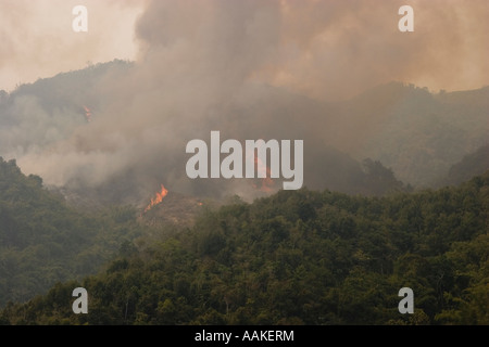 Burning forest being cleared to plant crops by villagers near Phongsaly Laos Stock Photo